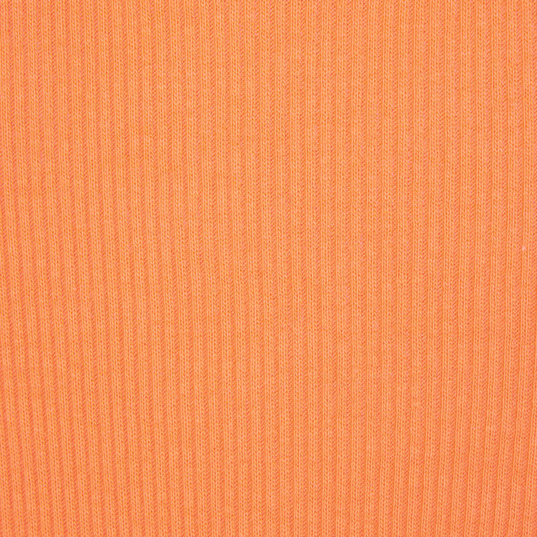 cotton rib short - apricot